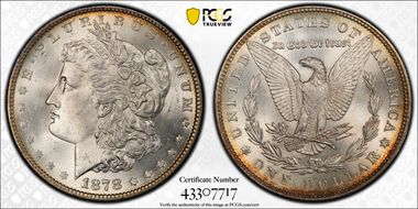 1878 7TF $1 R79 VAM 223, Washed Out L MS65