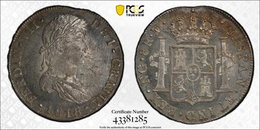 1818-NG M 8 R Calico-1233 MS61