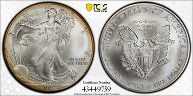 2002 $1 Silver Eagle MS69