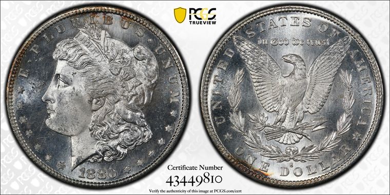 Cert 43449810 - Coin Image