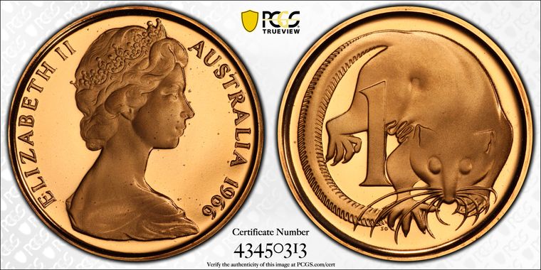 Cert 43450313 - Coin Image