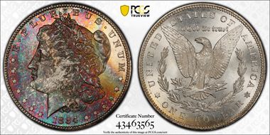 1884-CC $1 MS65