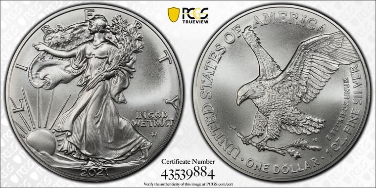 Cert 43539884 - Coin Image