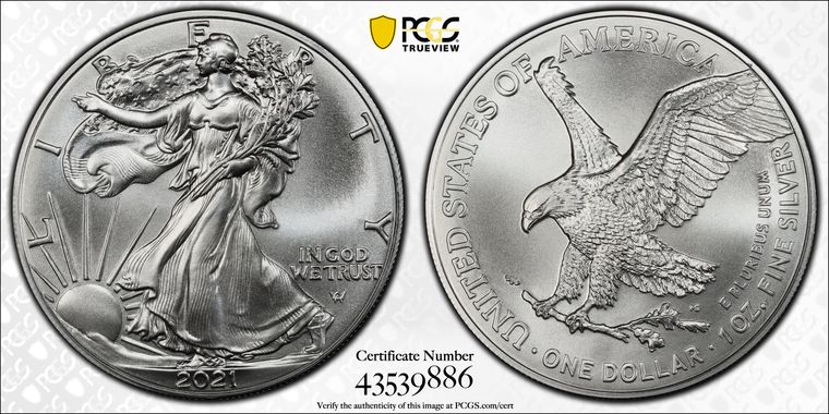 Cert 43539886 - Coin Image