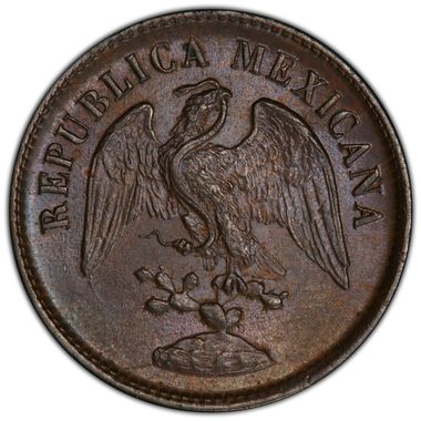 Cert 43566639 - Coin Image