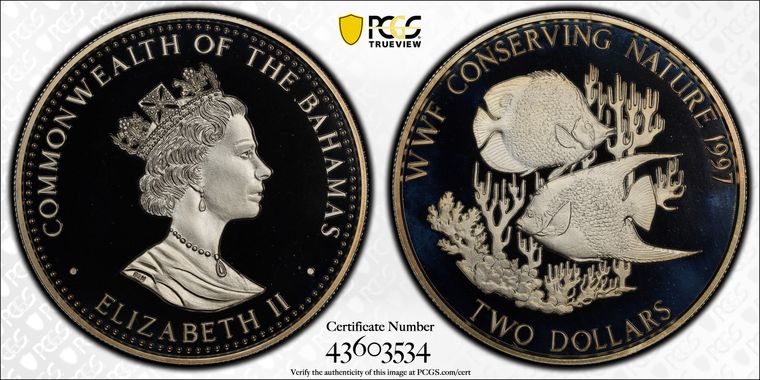 Cert 43603534 - Coin Image