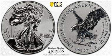 2021-S $1 Silver Eagle Rev PR - Type 2 Designer Edition - First Strike PR69