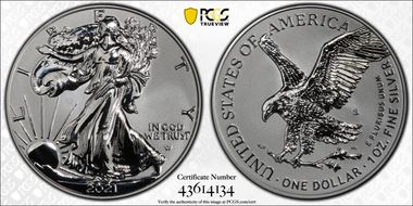 2021-S $1 Silver Eagle Rev PR - Type 2 Designer Edition - First Strike PR69