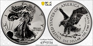 2021-S $1 Silver Eagle Rev PR - Type 2 Designer Edition - First Strike PR69