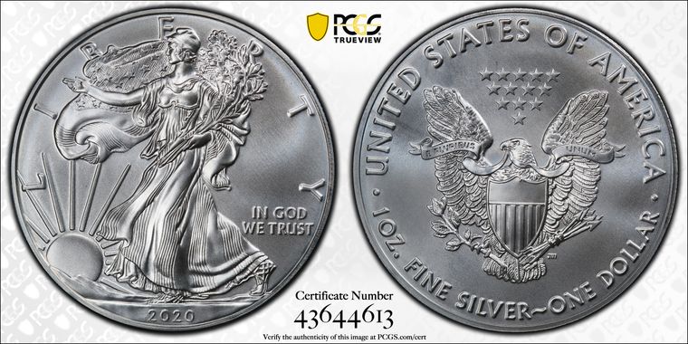 Cert 43644613 - Coin Image