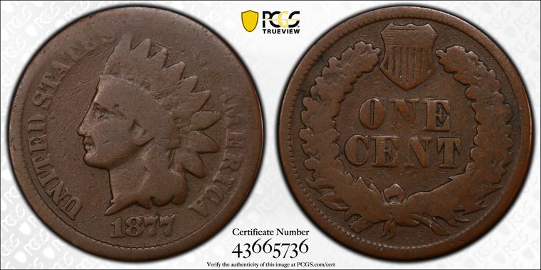 Cert 43665736 - Coin Image