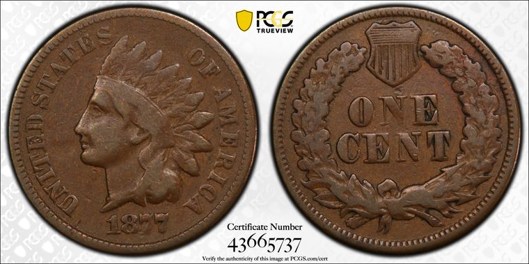 Cert 43665737 - Coin Image