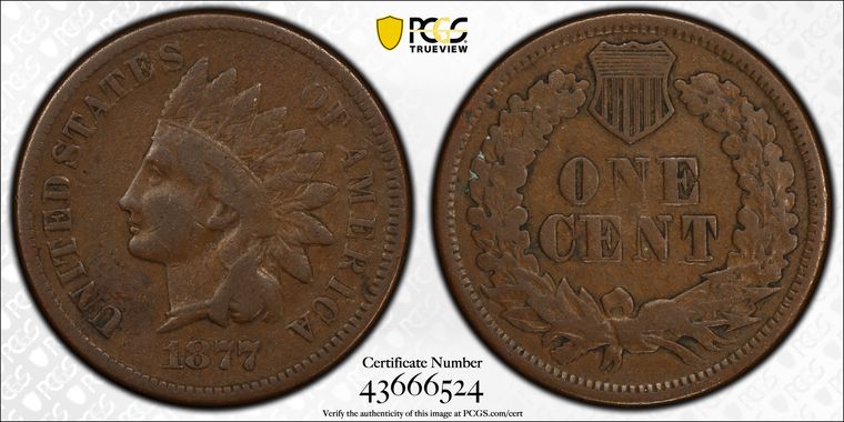 Cert 43666524 - Coin Image