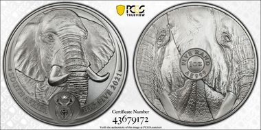 2021 5 Rand Big Five- African Elephant MS70