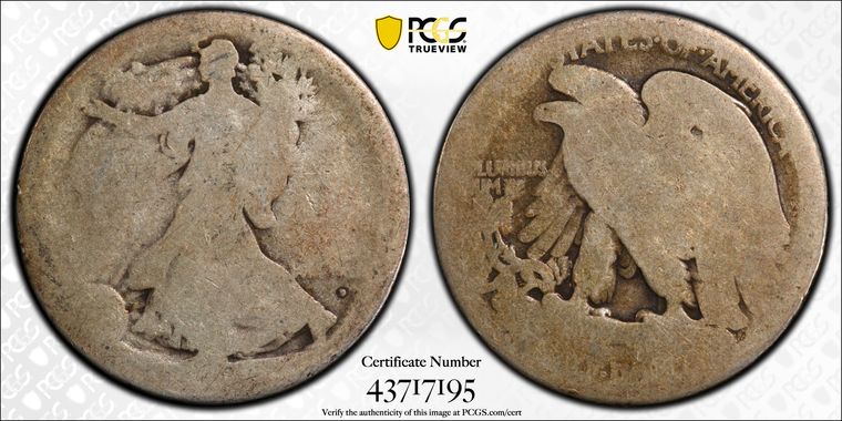 Cert 43717195 - Coin Image