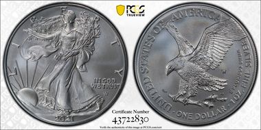 2021-W $1 Burnished Silver Eagle-Type 2 First Strike SP69