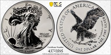 2021-S $1 Silver Eagle Rev PR - Type 2 Designer Edition - First Strike PR69