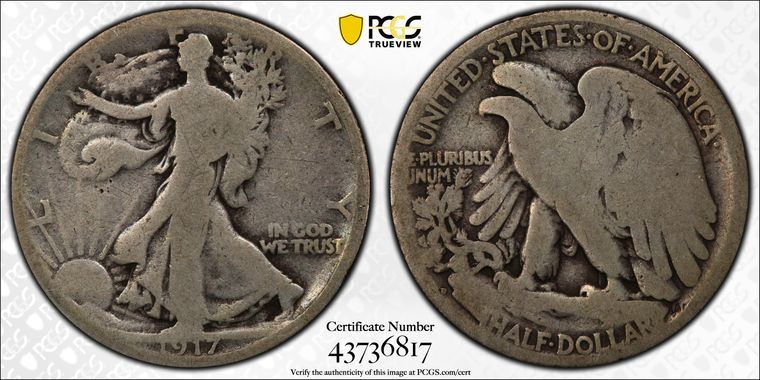 Cert 43736817 - Coin Image