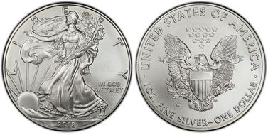 2018-W $1 Burnished Silver Eagle SP69