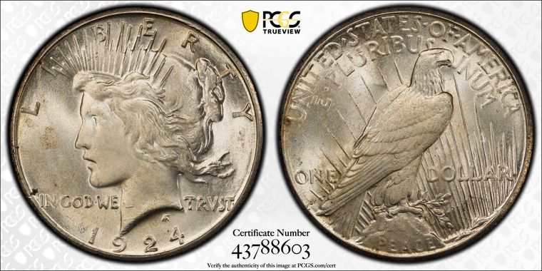 Cert 43788603 - Coin Image