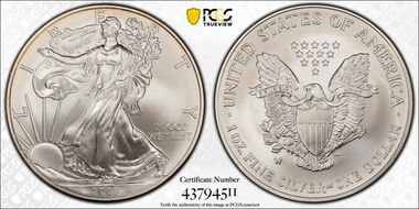 2008-W $1 Burnished Silver Eagle Reverse of 2007 SP69