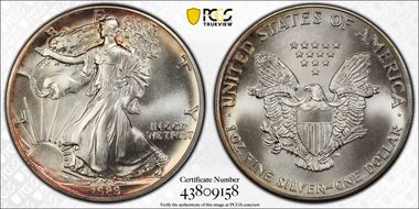 1989 $1 Silver Eagle MS68