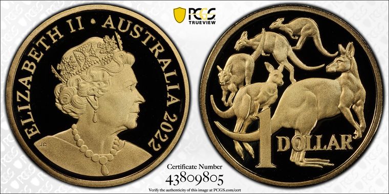 Cert 43809805 - Coin Image