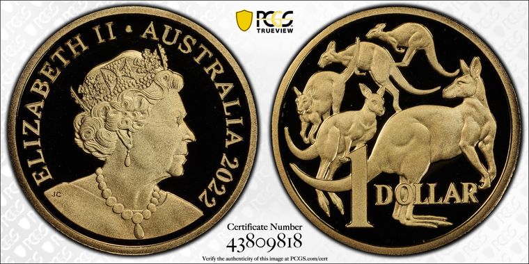 Cert 43809818 - Coin Image