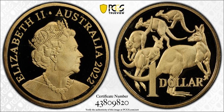 Cert 43809820 - Coin Image