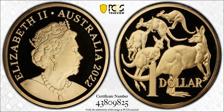 Cert 43809825 - Coin Image