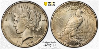 1923 $1 VAM 1AB Extra Hair MS63