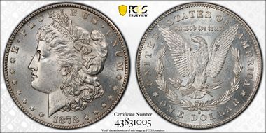 1878-S $1 VAM 6, Doubled RIB MS63