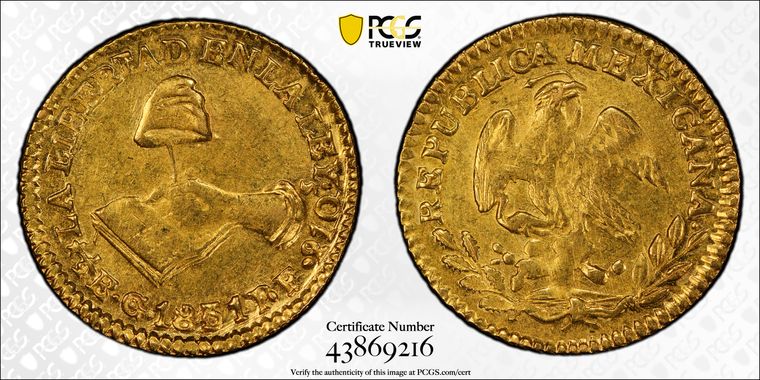 Cert 43869216 - Coin Image