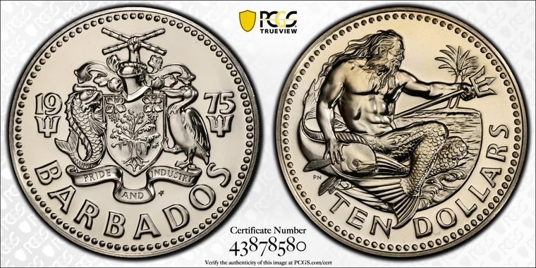 Cert 43878580 - Coin Image