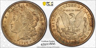 1921 $1 Morgan, Pitted Reverse N1