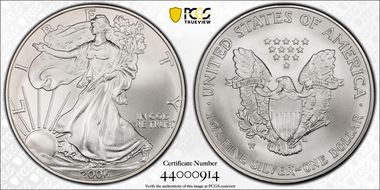 2006-W $1 Burnished Silver Eagle 20th Anniversary SP69
