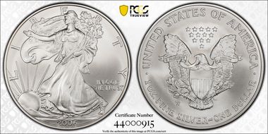 2006-W $1 Burnished Silver Eagle 20th Anniversary SP70