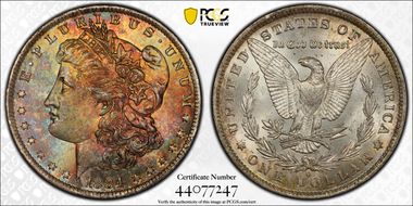 1884-O $1 MS65
