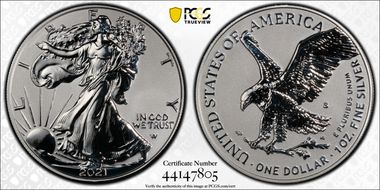 2021-S $1 Silver Eagle Rev PR - Type 2 Designer Edition - First Strike PR69