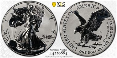 2021-S $1 Silver Eagle Rev PR - Type 2 Designer Edition - First Strike PR69