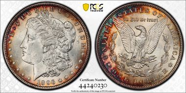1896 $1 MS62