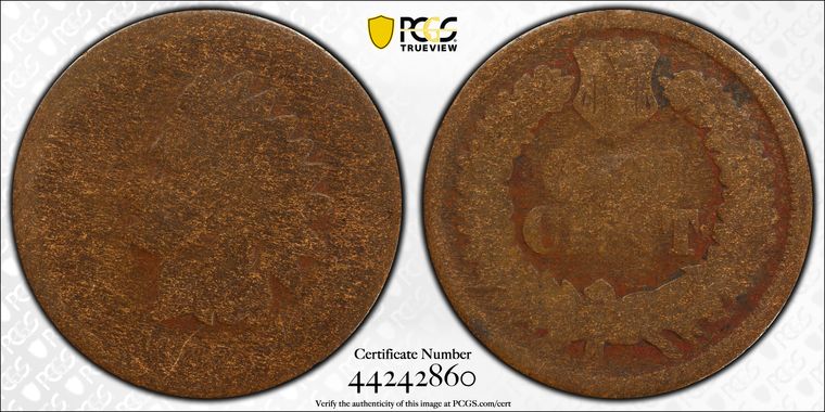 Cert 44242860 - Coin Image