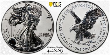 2021-S $1 Silver Eagle Rev PR - Type 2 Designer Edition PR70