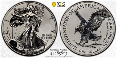 2021-S $1 Silver Eagle Rev PR - Type 2 Designer Edition - First Strike PR69