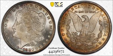 1880-CC $1 MS65