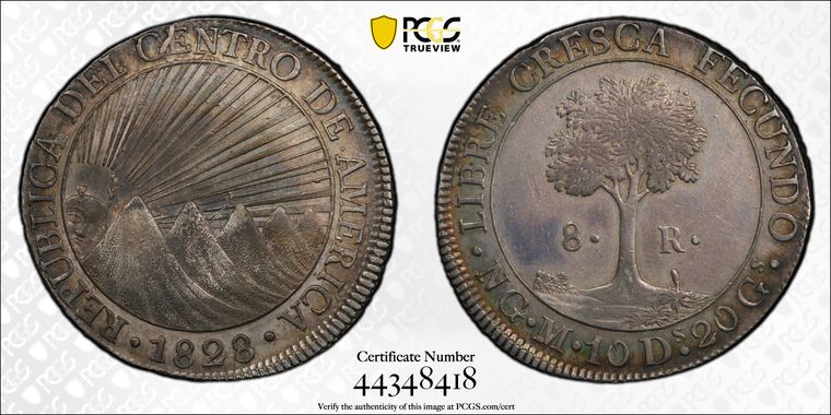 Cert 44348418 - Coin Image
