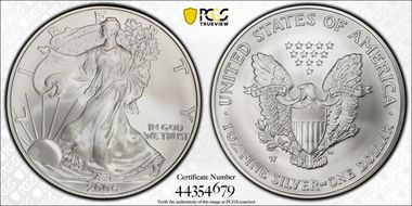 2006-W $1 Burnished Silver Eagle 20th Anniversary SP70