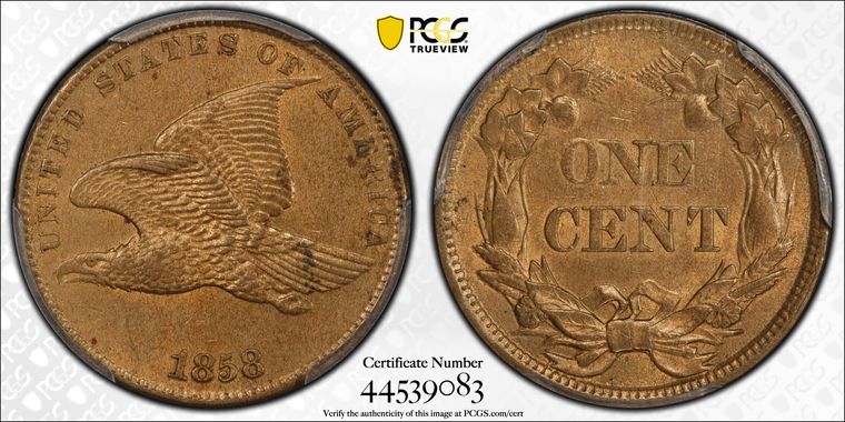 Cert 44539083 - Coin Image