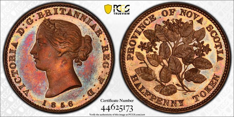 Cert 44625173 - Coin Image