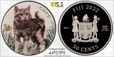2022 50C Cats - Colorized MS70